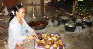 Nasib Para Penderes, tak Semanis Gula Kelapa